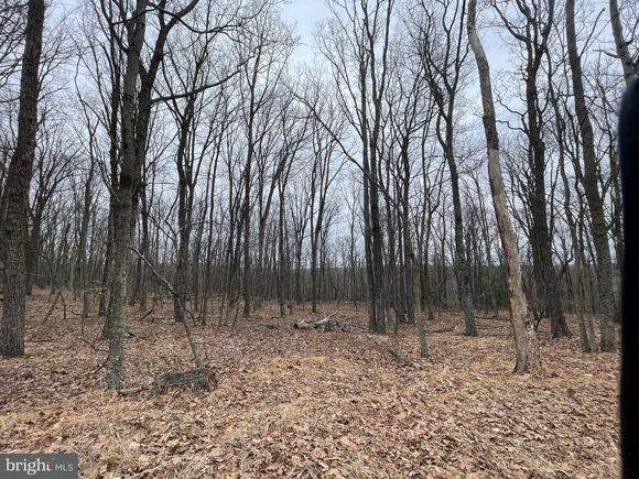 459 460 Spring Mountain Dr ZION GROVE, PA Plot of land Sold - Photo 1 of 18. Opens carousel modal
