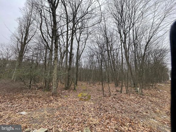 452 Haystack Drive ZION GROVE, PA Plot of land Sold - Photo 1 of 17. Opens carousel modal