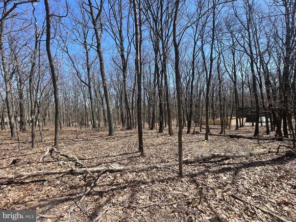 421 Camelback Lane ZION GROVE, PA Plot of land Sold - Photo 1 of 19. Opens carousel modal
