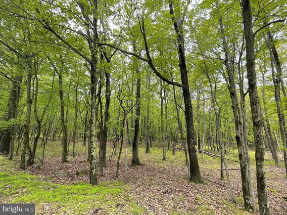 22 Stratton Drive ZION GROVE, PA Plot of land Sold - Photo 1 of 17. Opens carousel modal