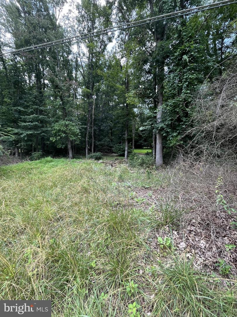 Lot 6 Hackberry Ln BLUEMONT VA - 127 VACL2003912 2 1752173345 