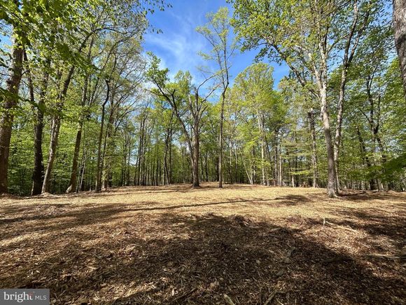 12636 Mill Dam Drive CLIFTON, VA Plot of land Active - Photo 1 of 17. Opens carousel modal