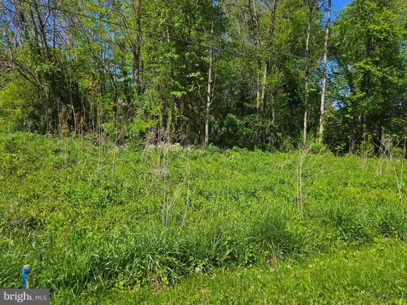 Dogwood Drive #662 LOUISA, VA Plot of land Sold - Photo 1 of 9. Opens carousel modal