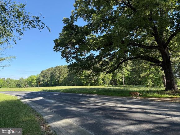 Tbd Craig Mill Rd SOUTH HILL, VA Plot of land Sold - Photo 1 of 28. Opens carousel modal