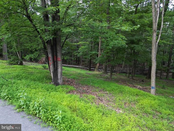 494 Cayuga Trail HEDGESVILLE, WV Plot of land Active - Photo 1 of 5. Opens carousel modal