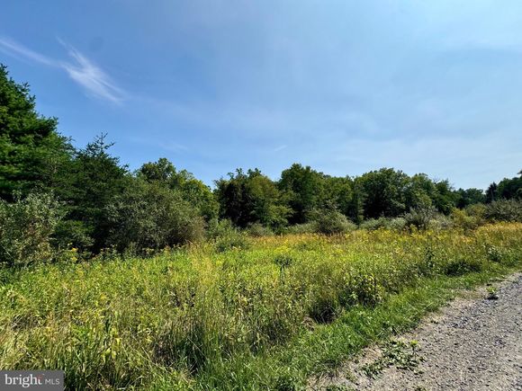 Lot 48 Warden Hollow S D Lake WARDENSVILLE, WV Plot of land Active - Photo 1 of 12. Opens carousel modal