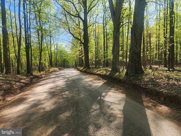 12 Acres Critton Owl Hollow Road SLANESVILLE, WV Plot of land Sold - Photo 1 of 11. Opens carousel modal