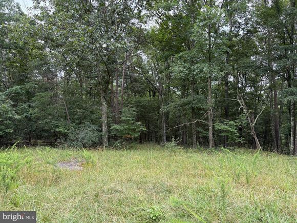 9.31 Ac Pine Tree Drive BLOOMERY, WV Plot of land Active - Photo 1 of 32. Opens carousel modal