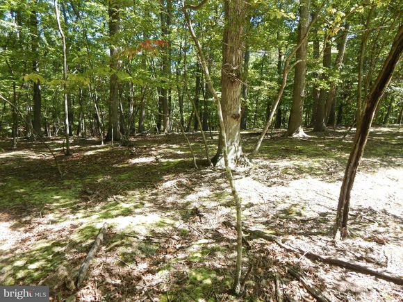 Sideling Mountain Trail GREAT CACAPON, WV Plot of land Sold - Photo 1 of 31. Opens carousel modal
