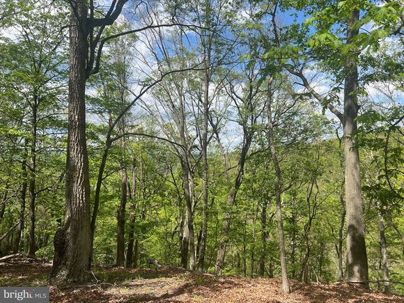 Seldom Seen Road GREAT CACAPON, WV Plot of land Sold - Photo 1 of 13. Opens carousel modal