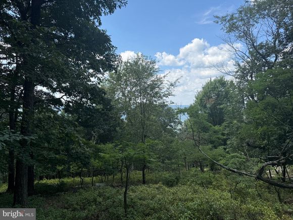 0 Fire Tower Road GREAT CACAPON, WV Plot of land Active - Photo 1 of 15. Opens carousel modal
