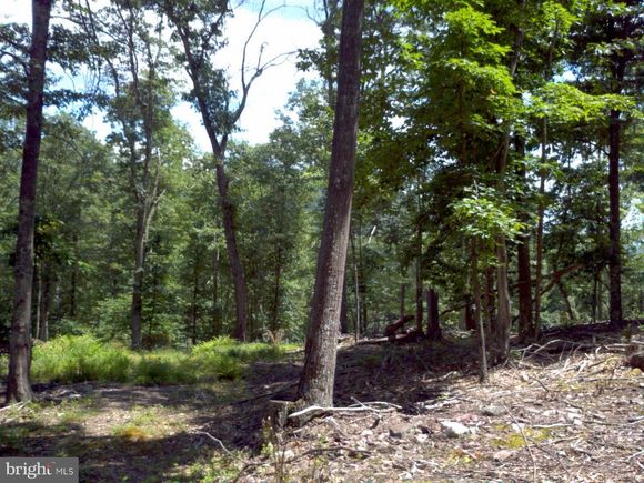 0 Harrison Hollow FRANKLIN, WV Plot of land Sold - Photo 1 of 36. Opens carousel modal
