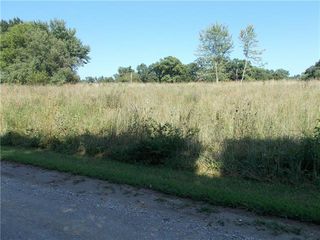 Lot 94 Hawk N/A