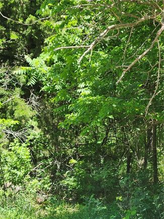 169 Sycamore Drive Linn Valley, KS Plot of land Sold - Photo 1 of 6. Opens carousel modal