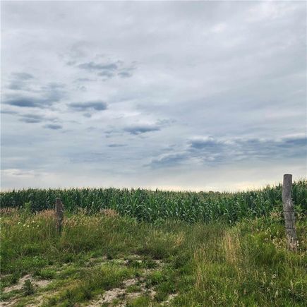 55+/ Acres E 235th Street Pleasant Hill, MO Plot of land Sold - Photo 1 of 8. Opens carousel modal
