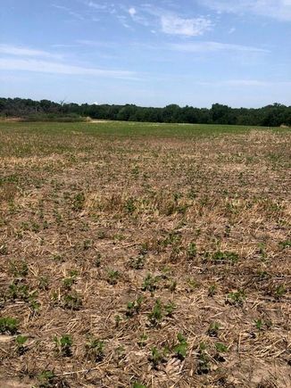 0000 W 399th Street W Lacygne, KS Plot of land Active - Photo 1 of 3. Opens carousel modal