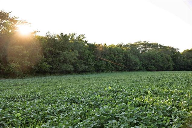 257th Street Jameson, MO Plot of land Active - Photo 1 of 98. Opens carousel modal