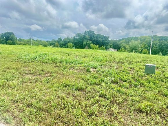 13895 NW 70th Street Parkville, MO Plot of land Active - Photo 1 of 4. Opens carousel modal