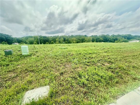 13935 NW 70th Street Parkville, MO Plot of land Active - Photo 1 of 4. Opens carousel modal