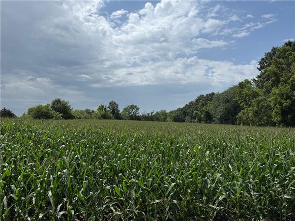 75 +/ Acres Raven Road Cameron, MO Plot of land Active - Photo 1 of 15. Opens carousel modal