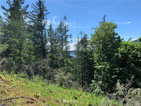 810 Pioneer Hill Road Orcas Island, WA Plot of land Sold - Photo 1 of 7. Opens carousel modal