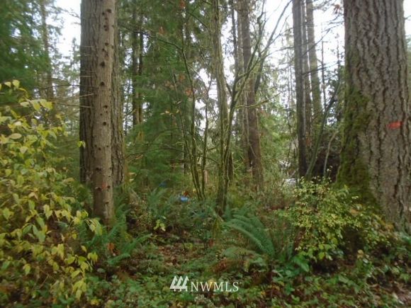 0 237th Drive NE Granite Falls, WA Plot of land Sold - Photo 1 of 6. Opens carousel modal