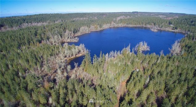 0 Tanwax Road S Roy, WA Plot of land Sold - Photo 1 of 15. Opens carousel modal