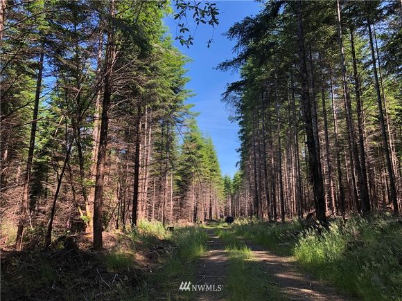 14 Xx Wynoochee Valley Road Montesano, WA Plot of land Sold - Photo 1 of 13. Opens carousel modal