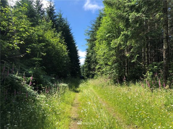 13 Xx Wynoochee Valley Road Montesano, WA Plot of land Sold - Photo 1 of 10. Opens carousel modal