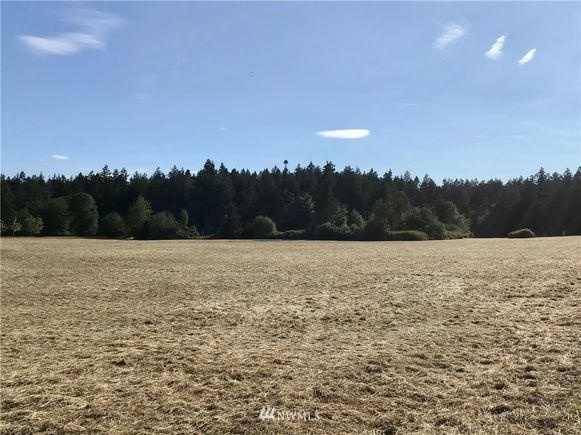 195 Judith Lane Orcas Island, WA Plot of land Sold - Photo 1 of 14. Opens carousel modal