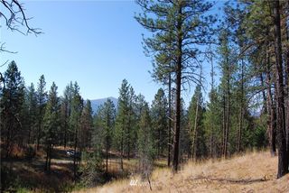 1 Long Horn Trail