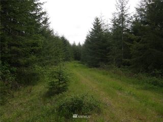 0 M.P. 12 Wynooche Valley Road