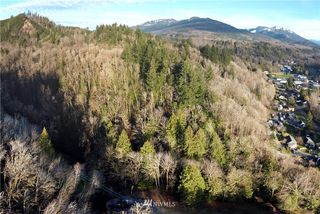 19 Plus Acres