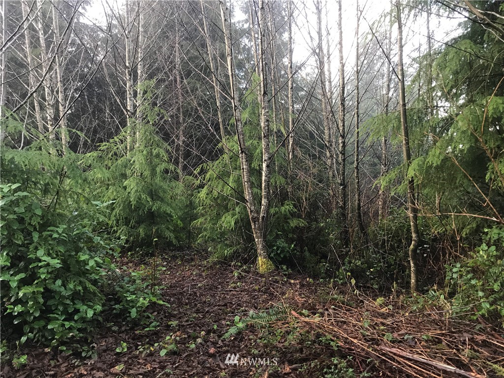 10 Bayview Estates, Hoquiam, WA 98550 Estately 🧡 MLS 1715990