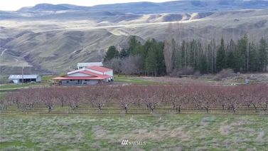 355 Xx Highway 155