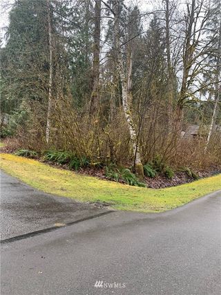 16007 Shuksan Rim Drive