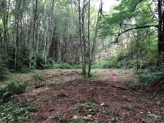 0 Forest View Lane