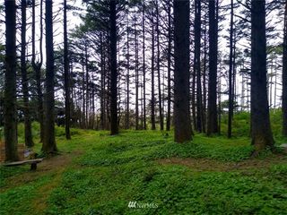 3935 State Route 109