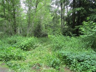 0 0 Davis Lake Road