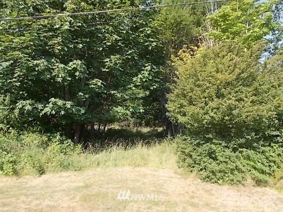 0 Morris Road Randle, WA Plot of land Active - Photo 1 of 16. Opens carousel modal