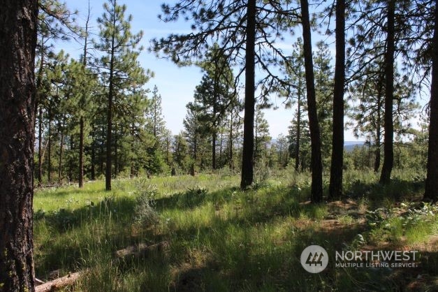 0 Nna Idyll Spurs Ln, Chelan, WA 98816 | Estately 🧡 | MLS# 2054196