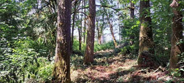 0 Loop Lot 1 Road Centralia, WA Plot of land Active - Photo 1 of 7. Opens carousel modal