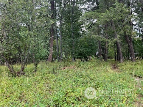 6 Cedar Circle Mazama, WA Plot of land Sold - Photo 1 of 25. Opens carousel modal