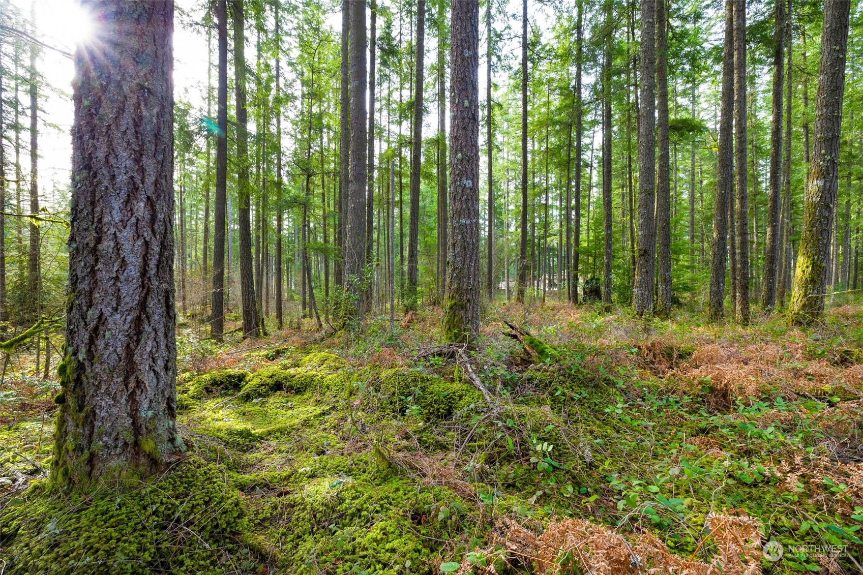 26 Xxx SE Summit Landsburg Rd