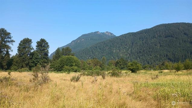 0 Lot B9c Lone Tree Road Randle, WA Plot of land Active - Photo 1 of 10. Opens carousel modal