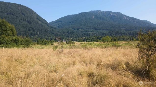 0 Lot B8c Lone Tree Road Randle, WA Plot of land Active - Photo 1 of 8. Opens carousel modal