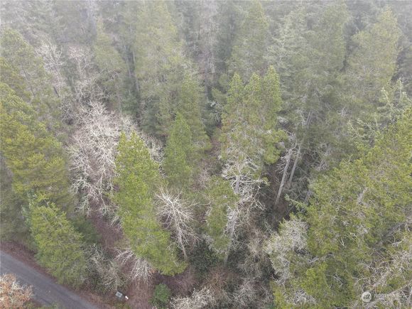 0 Pine Tree Road Toledo, WA Plot of land Active - Photo 1 of 3. Opens carousel modal