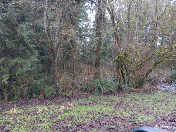 17 Xxx Crooked Mile Road Granite Falls, WA Plot of land Active - Photo 1 of 4. Opens carousel modal