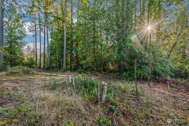 4420 Van Beek Road NW Lakebay, WA Plot of land Sold - Photo 1 of 31. Opens carousel modal