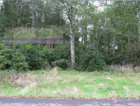 502 Chinook Avenue SE Ocean Shores, WA Land Sold - Photo 1 of 1. Opens carousel modal